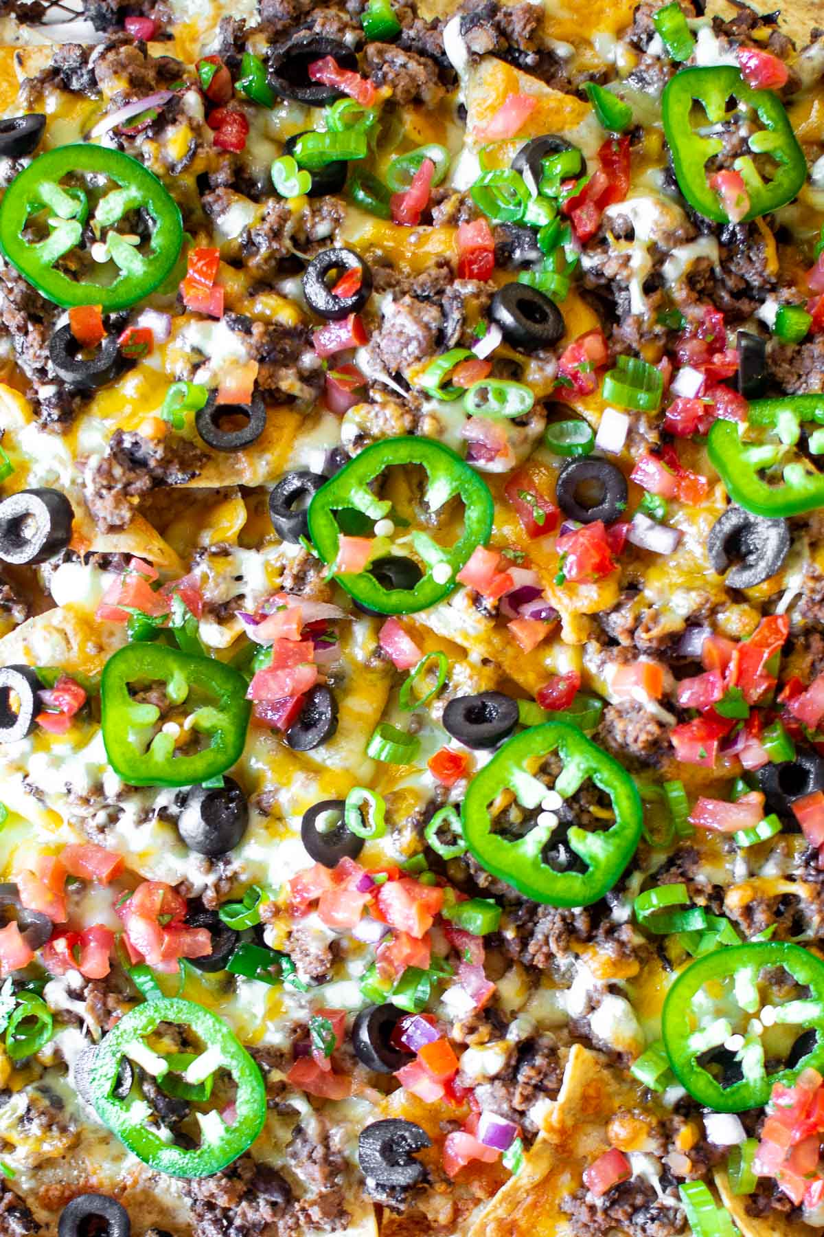Close up of nachos will all toppings