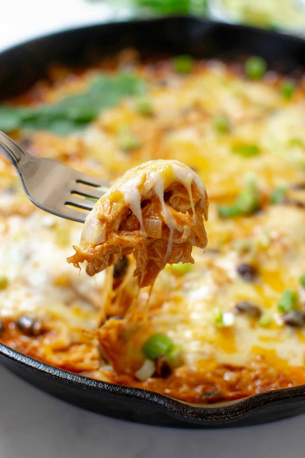 Close up of enchiladas on a fork with cheese.