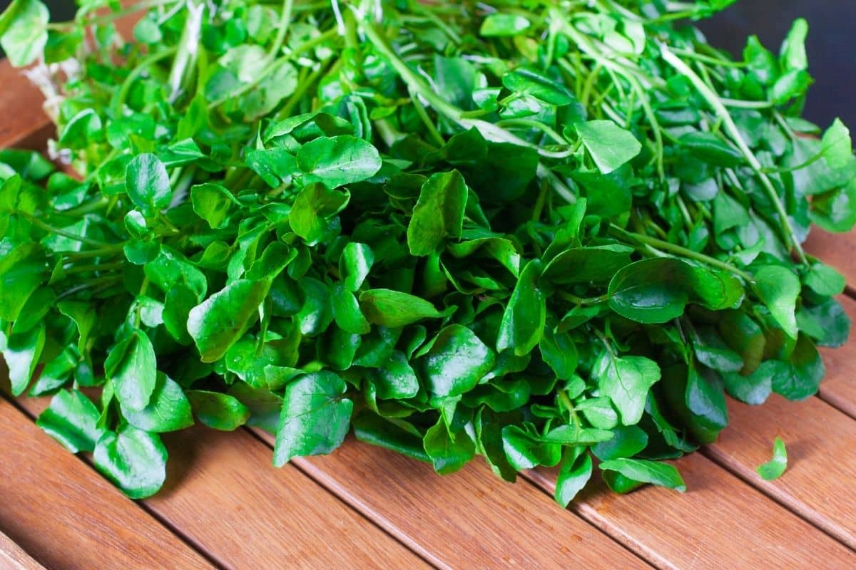 A bunch of watercress on a wooden table.