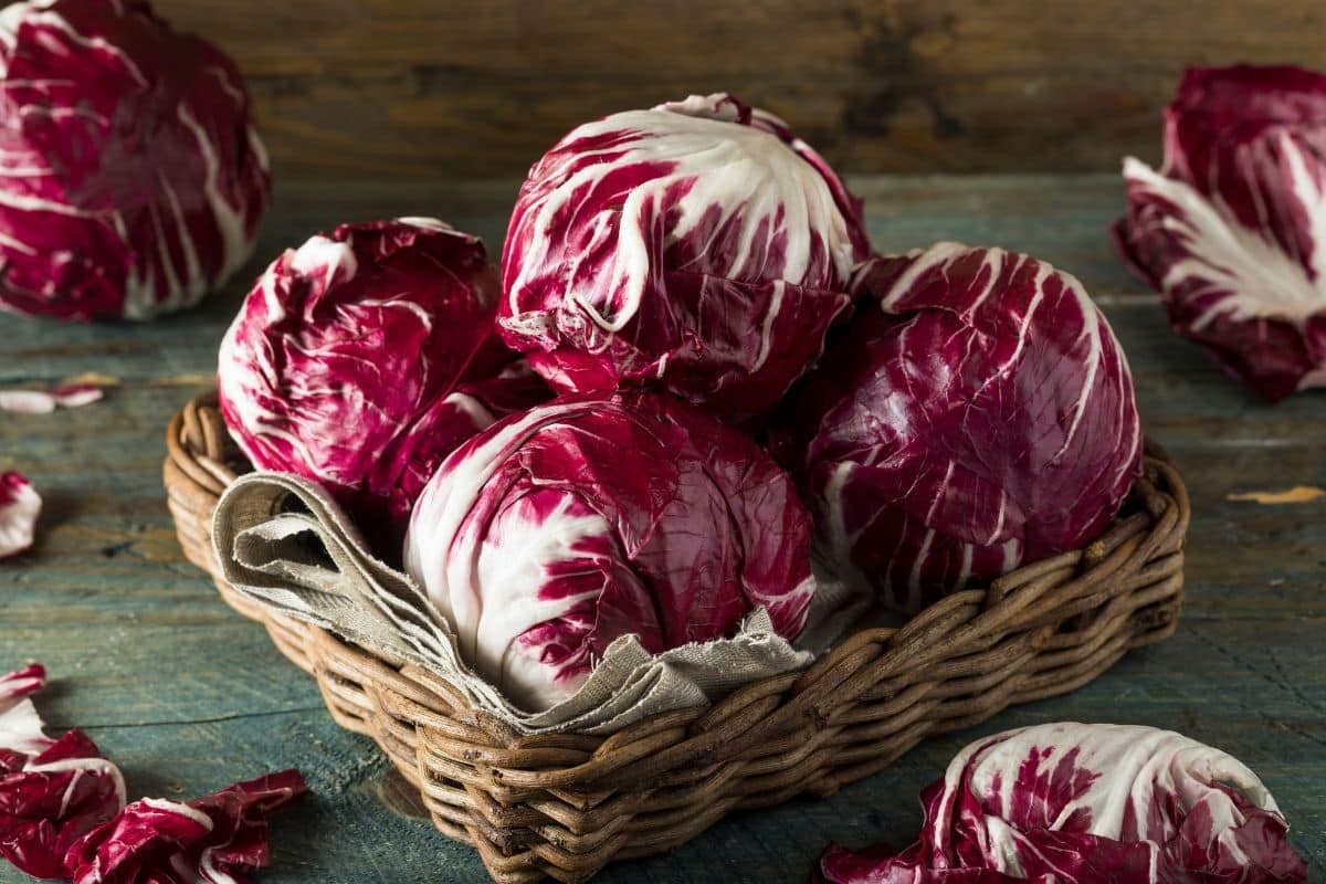 Several heads of radicchio in a small wicker basket.