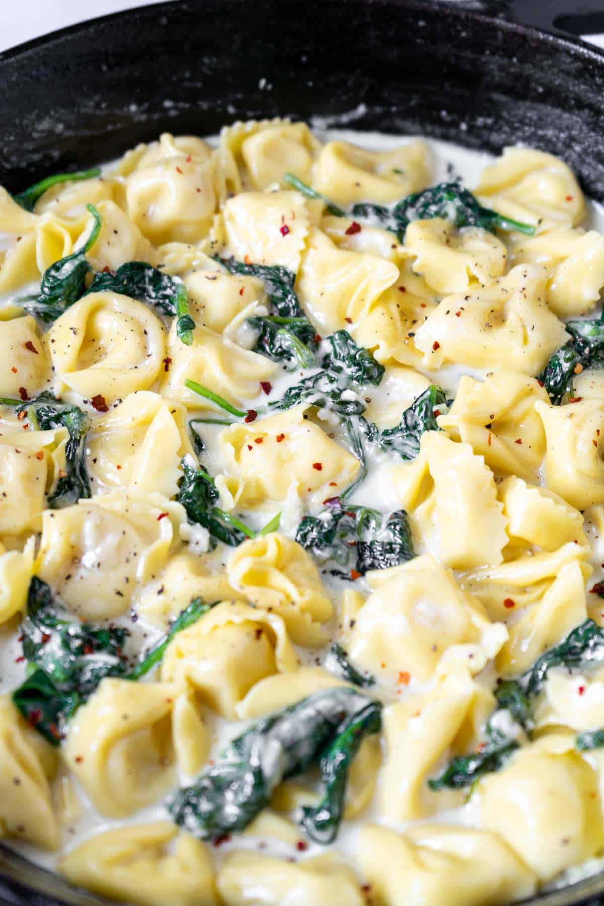Close up shot of asiago tortellini in the skillet
