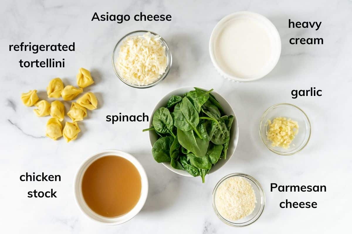 Ingredients needed to make easy Asiago Tortellini