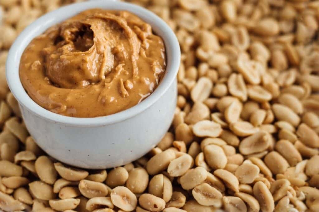 An obvious substitute for almond butter is peanut butter! In a small white bowl sitting in a bed of peanuts.