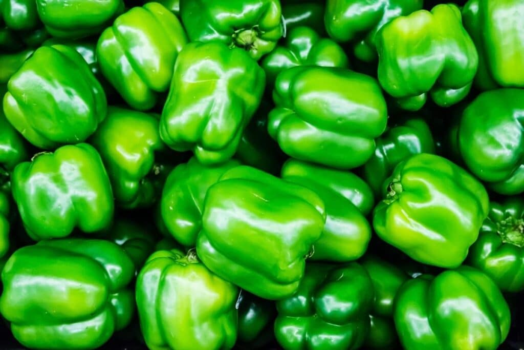 Lots of green bell peppers