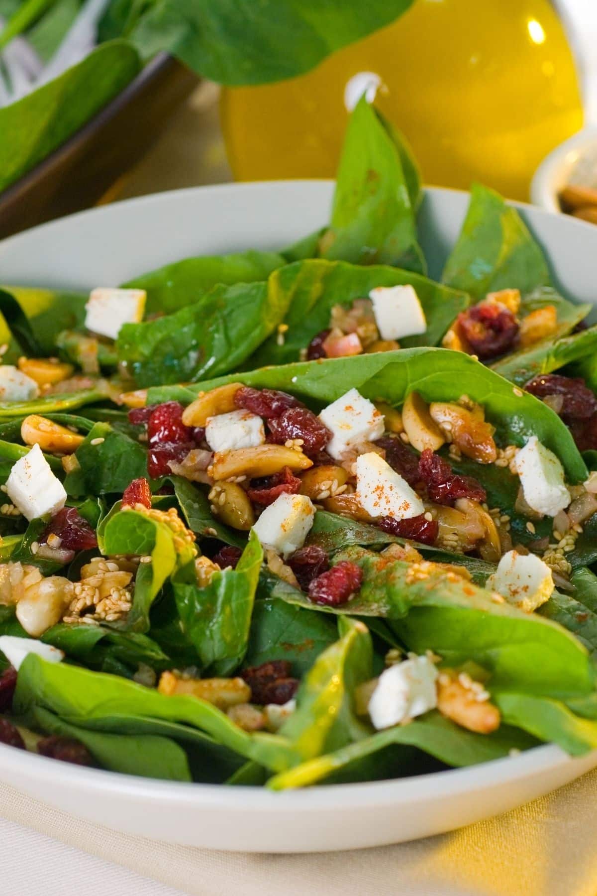 Close up of spinach salad with dried cranberries and nuts