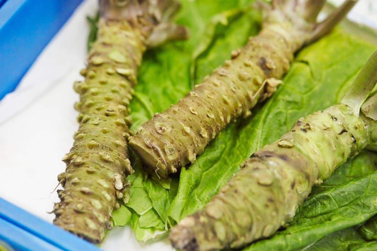 10 substitutes for horseradish-wasabi root on a bed of lettuce
