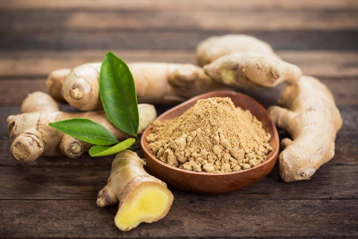 Ginger root and a small bowl of ginger powder