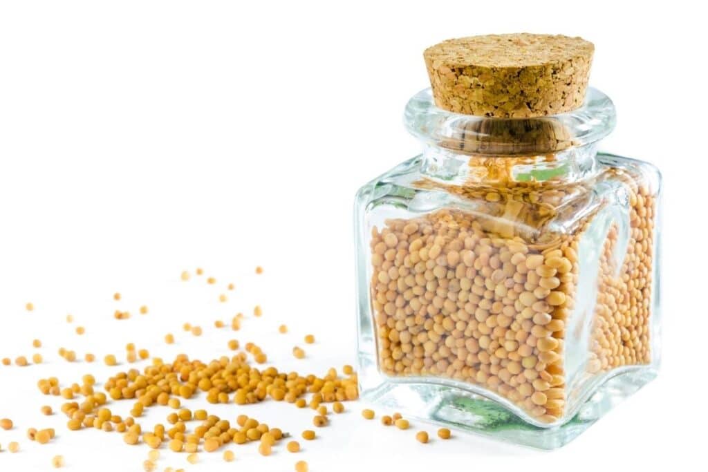 Substitutes for Turmeric for pickling--mustard seeds in a small jar with a cork.