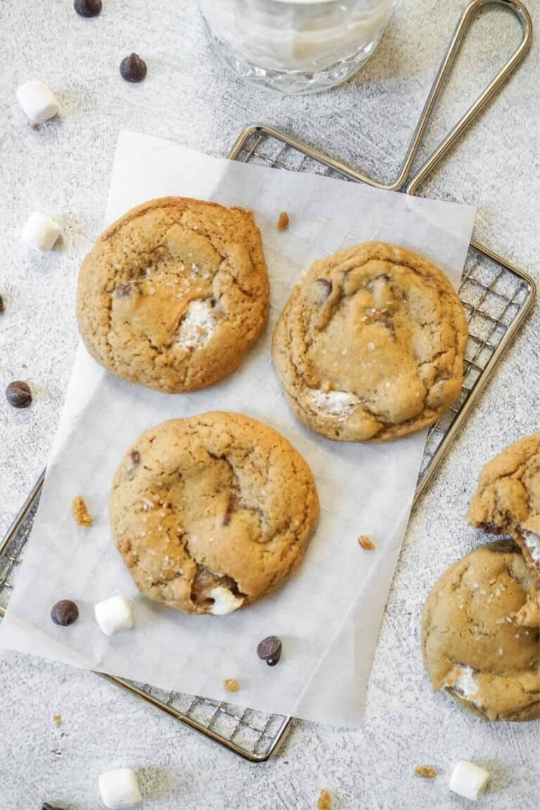 Perfect Chocolate Chip Marshmallow Cookies
