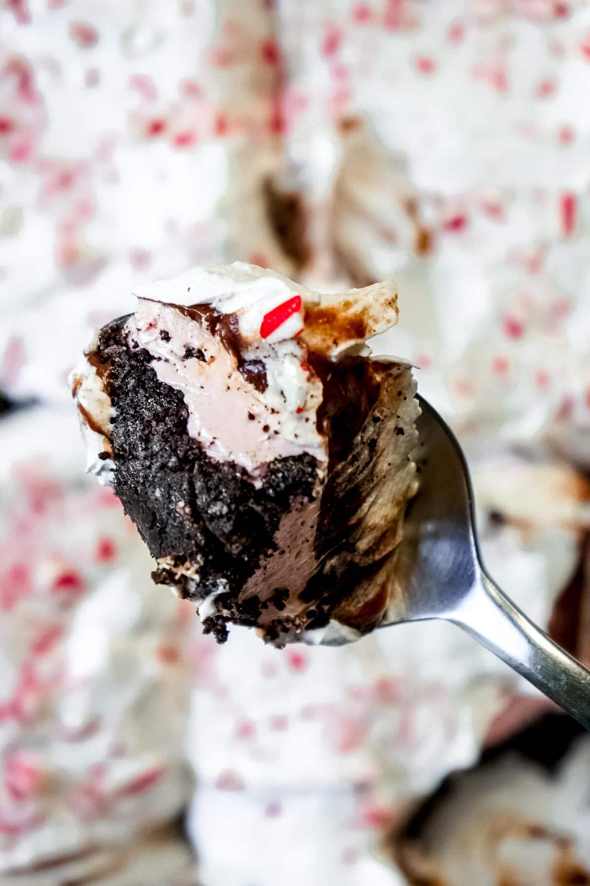 A spoonful of chocolate peppermint pie.