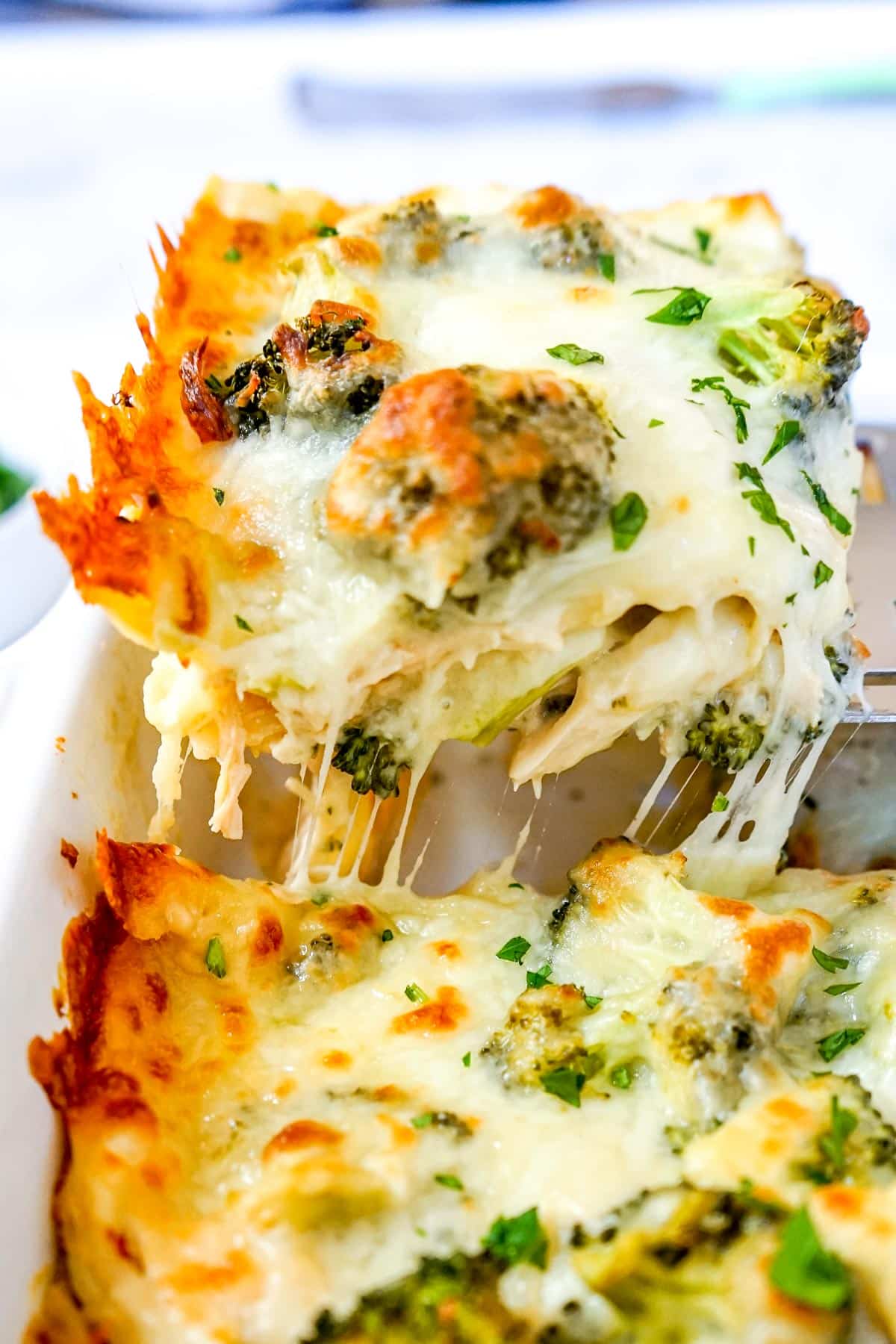 A slice of chicken broccoli lasagna being served from the pan. 