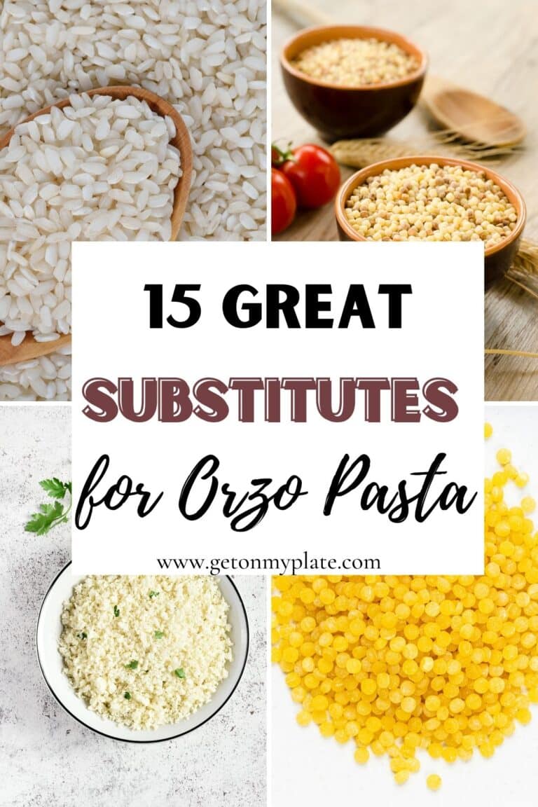 15 Delicious Substitutes for Orzo