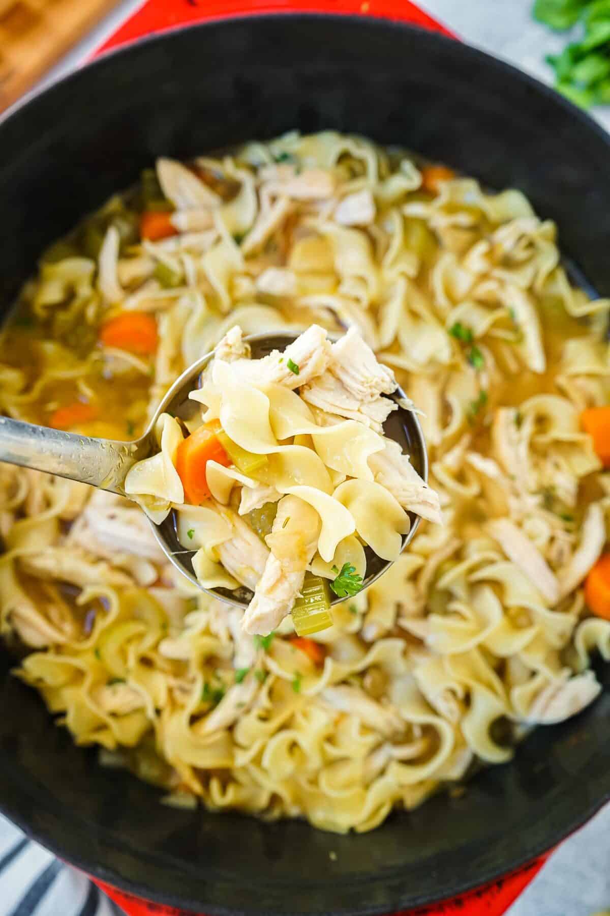 A big ladle of Chrissy Teigen Chicken Noodle soup.