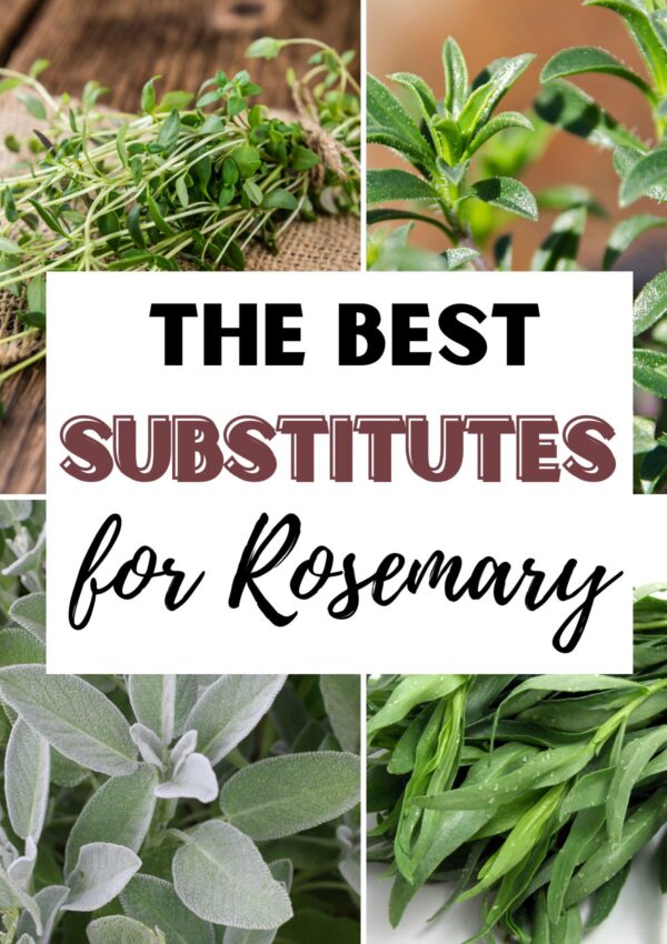 The 15 Best Substitutes for Rosemary