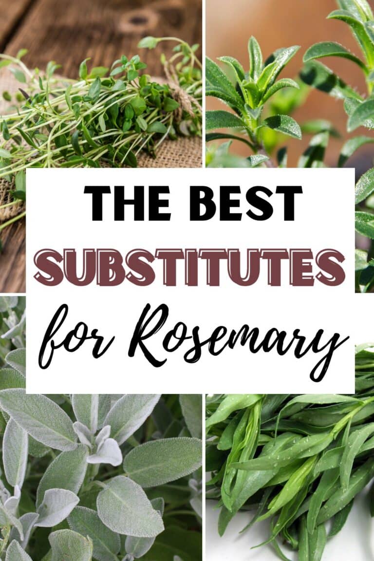 The 15 Best Substitutes for Rosemary