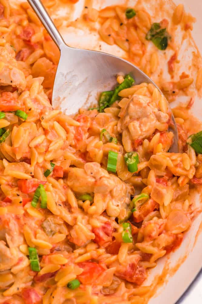 Close up of One Pot Creamy Cajun Chicken Orzo garnished with scallions