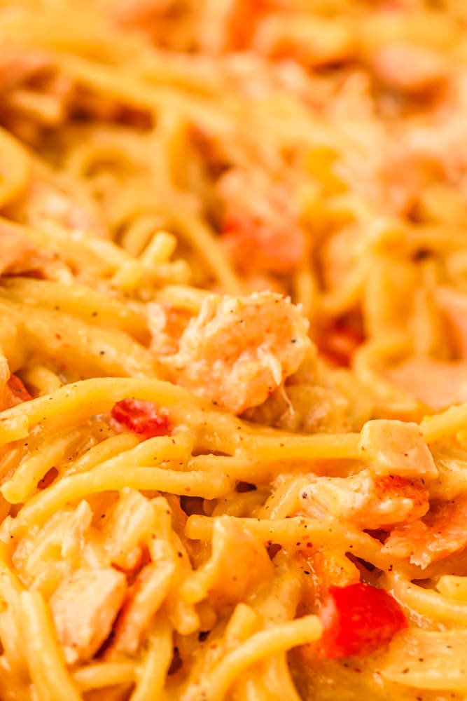Close up photo of the creamy cajun pasta.