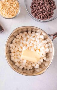 Chocolate Dipped Rice Krispie Treats