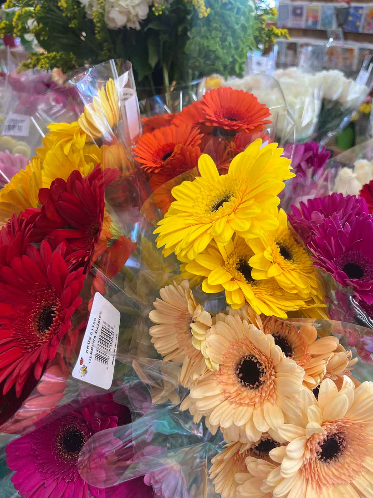 Trader Joe's daisies in the store. 