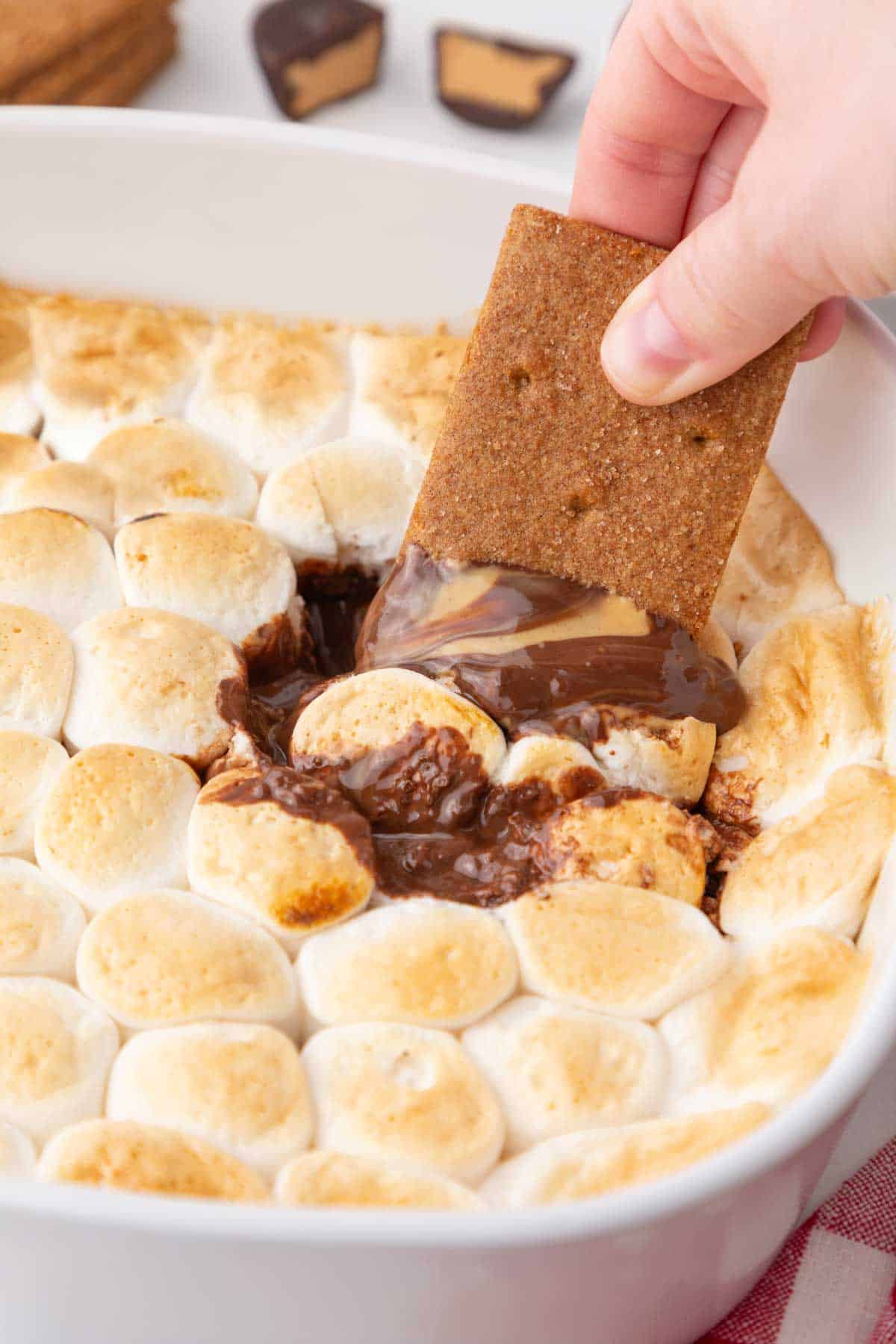 A graham cracker being dipped into the Peanut Butter Cup Smores Dip.