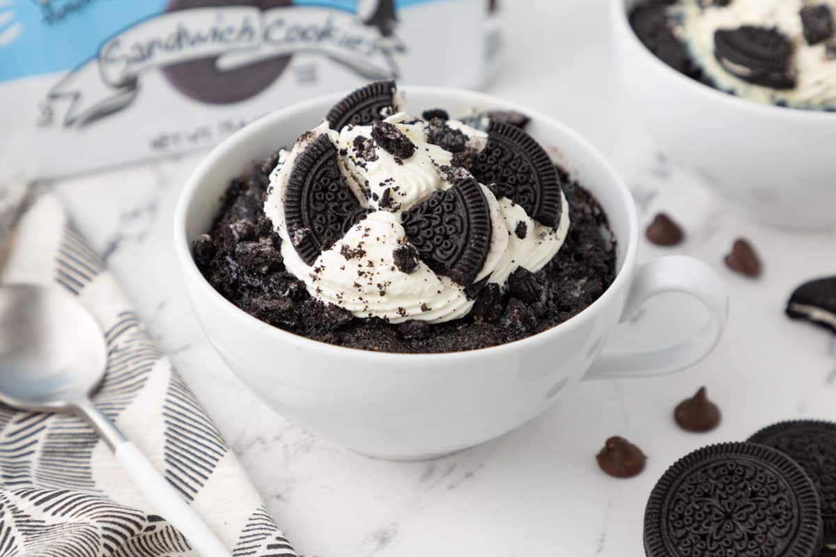 Chocolate chip mug cake in a white mug.