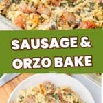 Pinterest Pin for Trader Joe's sausage and orzo bake.