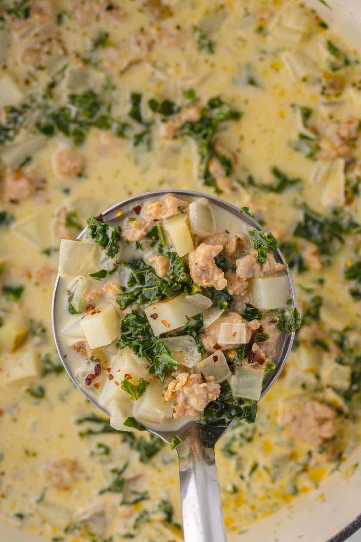 Close up shot of a ladle with Trader Joe's zuppa toscana.