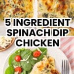 Pinterest pin for Trader Joe's Spinach and Artichoke Dip chicken.