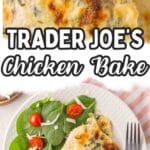 Pinterest pin for Trader Joe's Spinach and Artichoke Dip chicken.